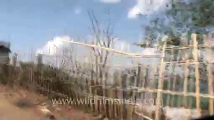 Mizoram-KV-fx-1-hdv-7-22