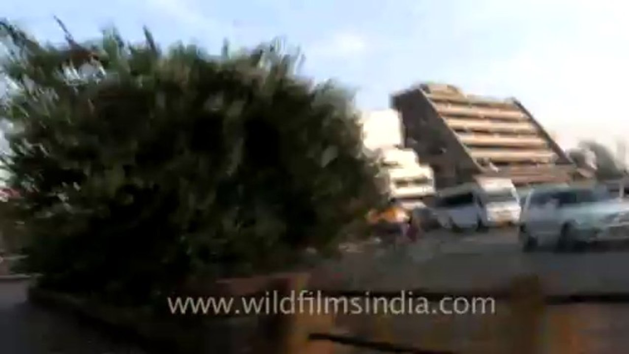 nagpur-5