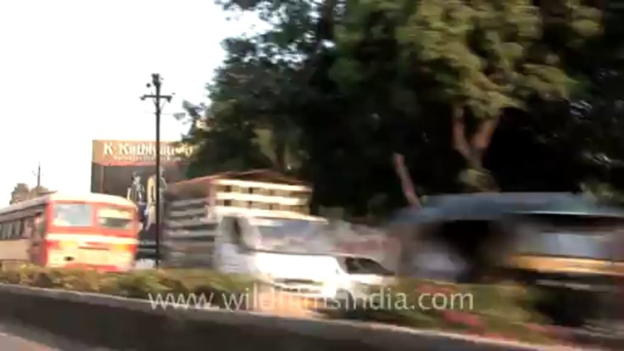 Nagpur-nasik-2