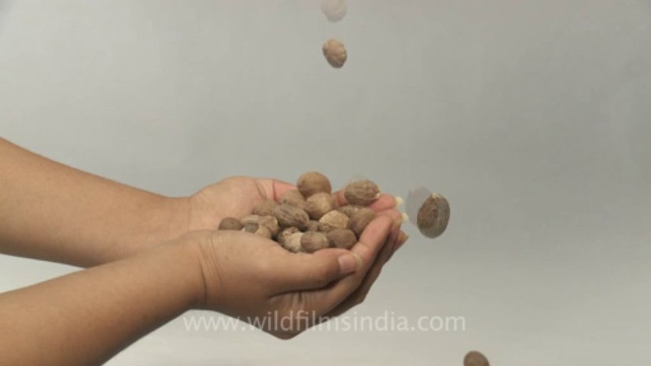 Nutmeg-2