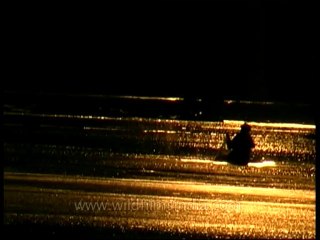 Panna-fishing-mdv-129-20