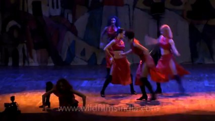 Russian circus show-hdv-411-12