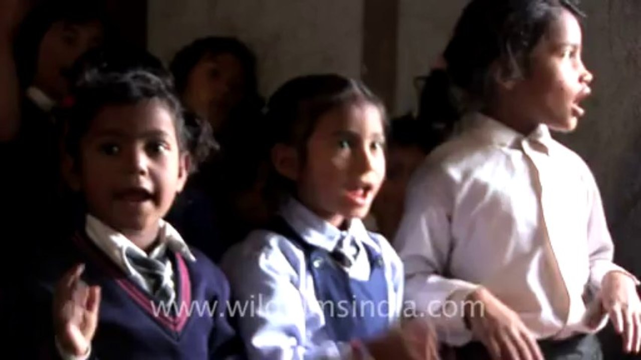 School children-5