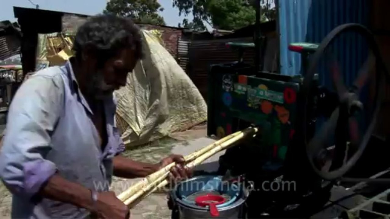 Sugar cane-punjab-1