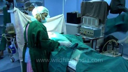Surgery of Fibroid in Breast-hdv-fx-1-01-24