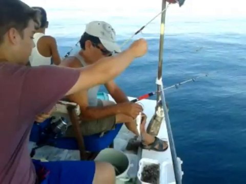 ismail kaptan balık avı .20.08.2013 tarihli video