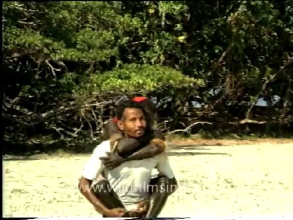 andamans&nicobar-7-6