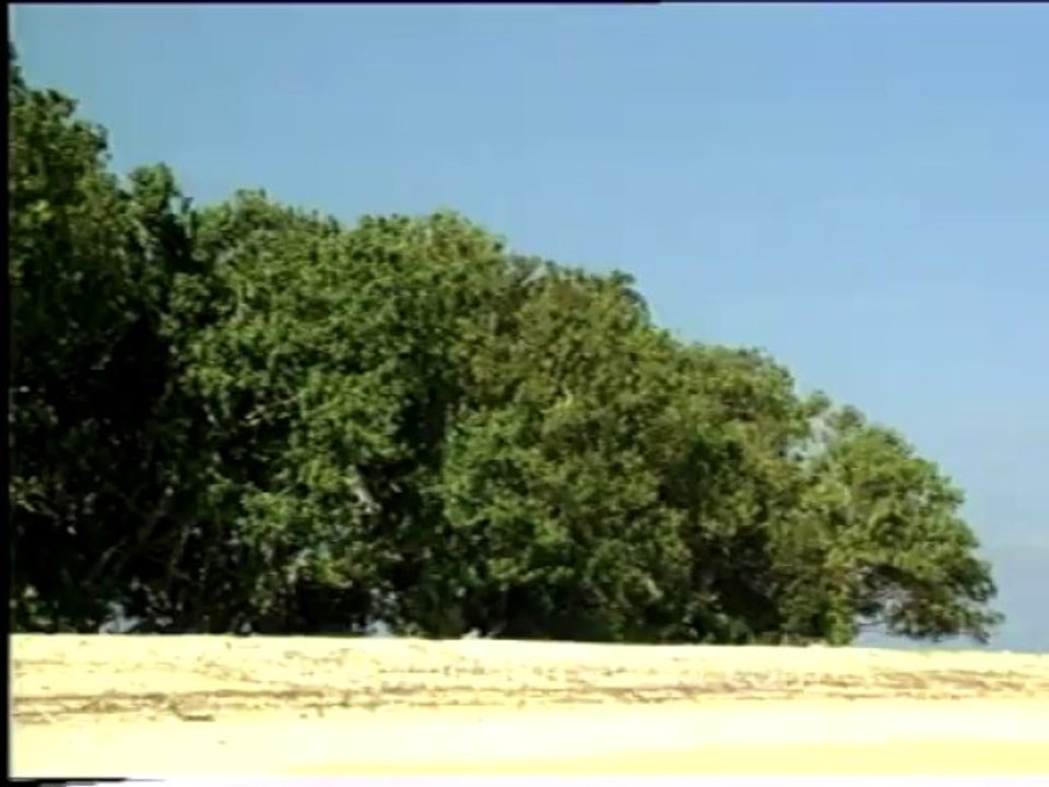 andamans&nicobar-7-7