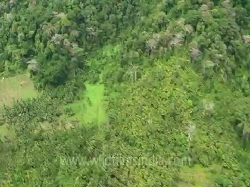 Andaman aerial shot-2