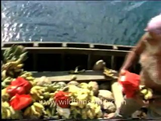 andamans&nicobar_2-1