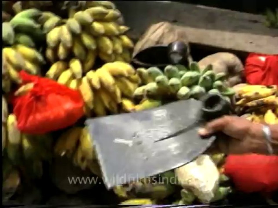 andamans&nicobar_2-2