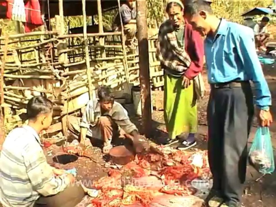 animal slaughter-13