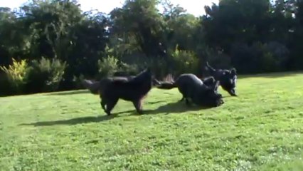 Ca commence par le jeu ...