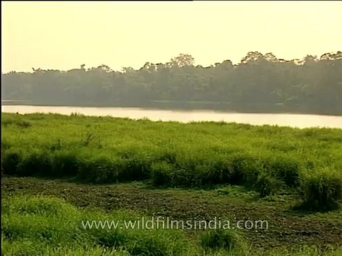 Assam-kaziranga-mdv-1002-10