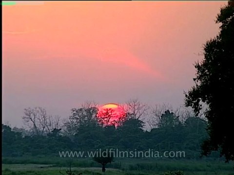 Assam-kaziranga-mdv-1002-17