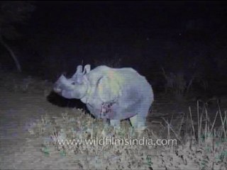 Assam-kaziranga-mdv-883-1-16