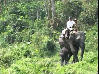 Assam-kaziranga-mdv-961-1-1
