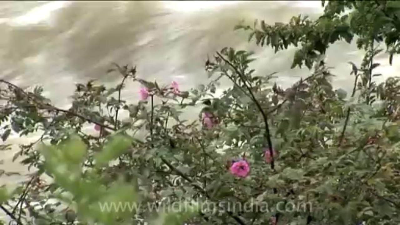 Bhutan-Bumthang-7