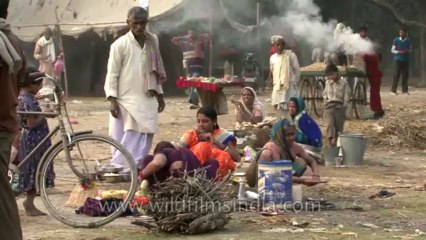 Bihar-Sonepur Fair-hdv-270-18