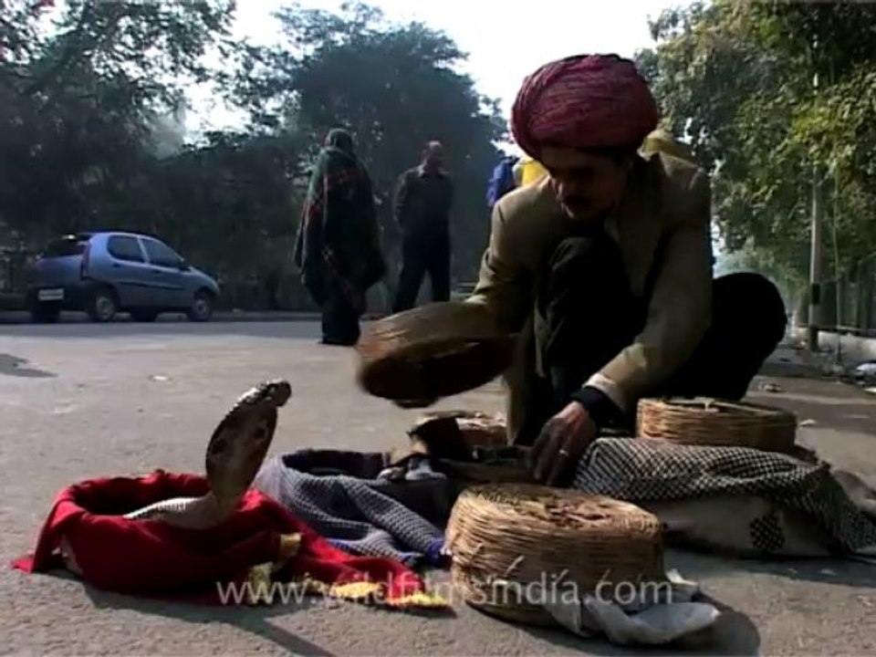 delhi performers-20