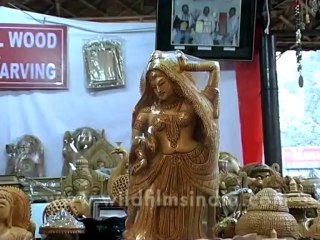 delhi-dillihaat-12-11