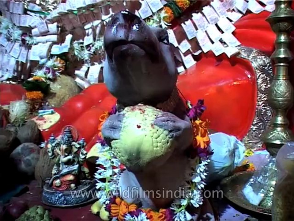 Ganesh-chaturthi-mdv-982-5