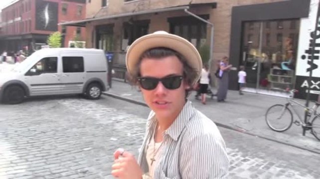 Harry Styles Believes Taylor Swift Will Use Their Relationship As Inspiration For a Song