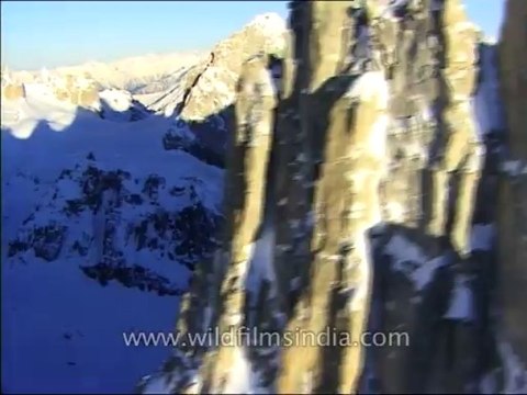 Heli-skiing-Beta SP-3-29