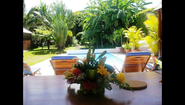 meublé de tourisme arbre du voyageur, location de vacances, villa 150 m2, piscine, jacuzzi, proche plage,REUNION : arbreduvoyageur.re
