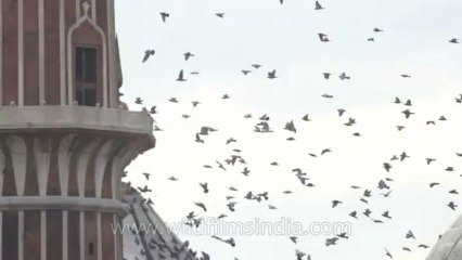 Independence day-jama masjid-1