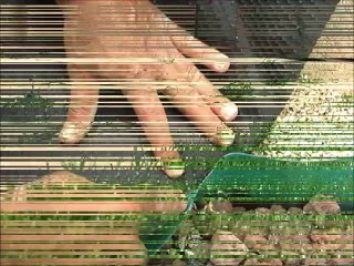 איך לחתוך דשא מלאכותי בקלות - טיפ של חברת דשא קבוע