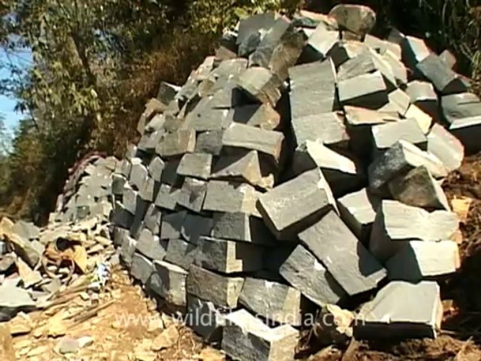 nagaland-19