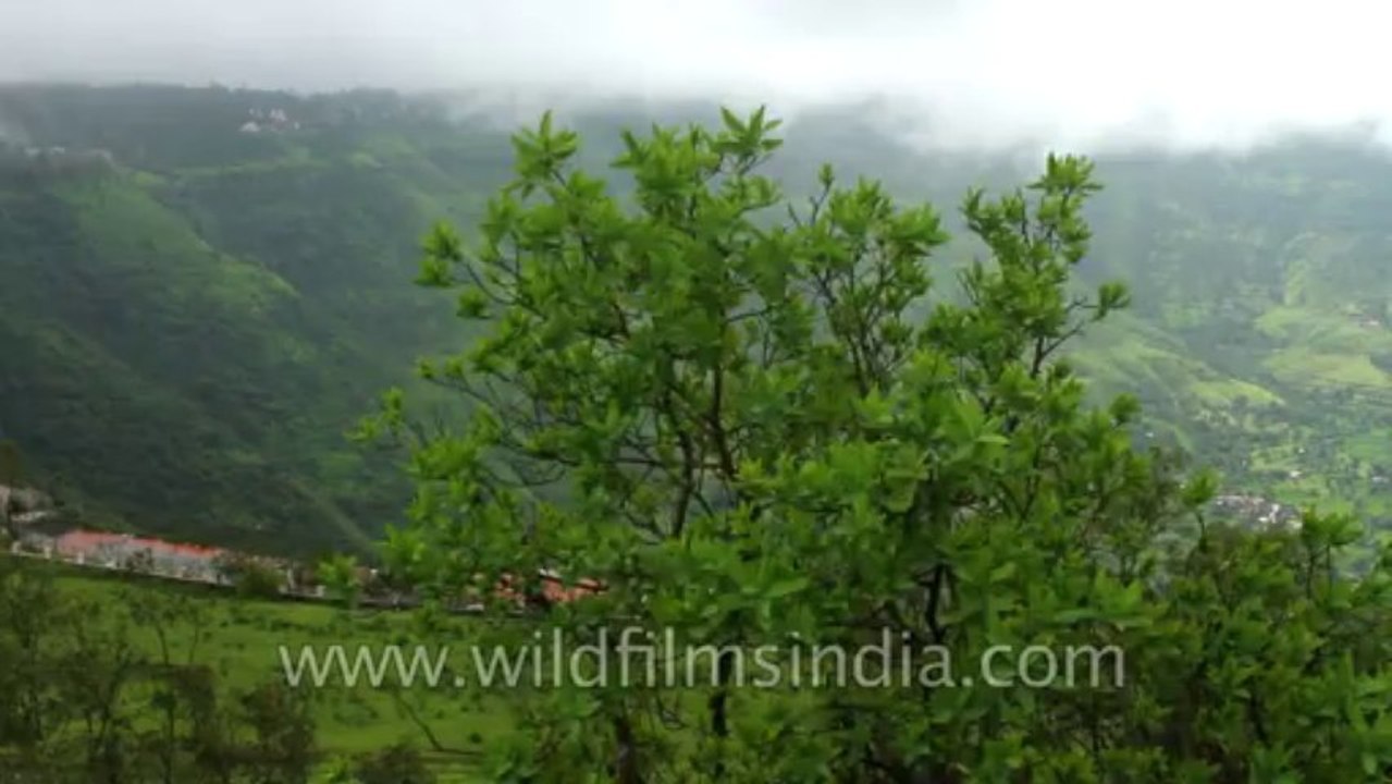 Panchgani-market-12