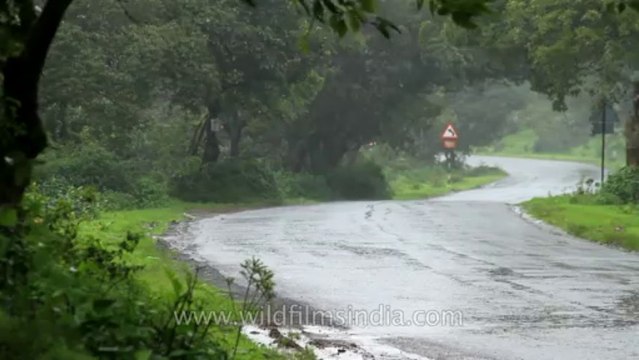 Pune-Mahabaleshwar-road