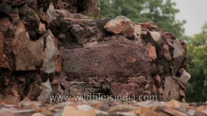 Qutub Minar-17