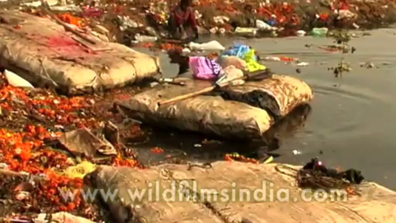 Rotten wheat-punjab-final