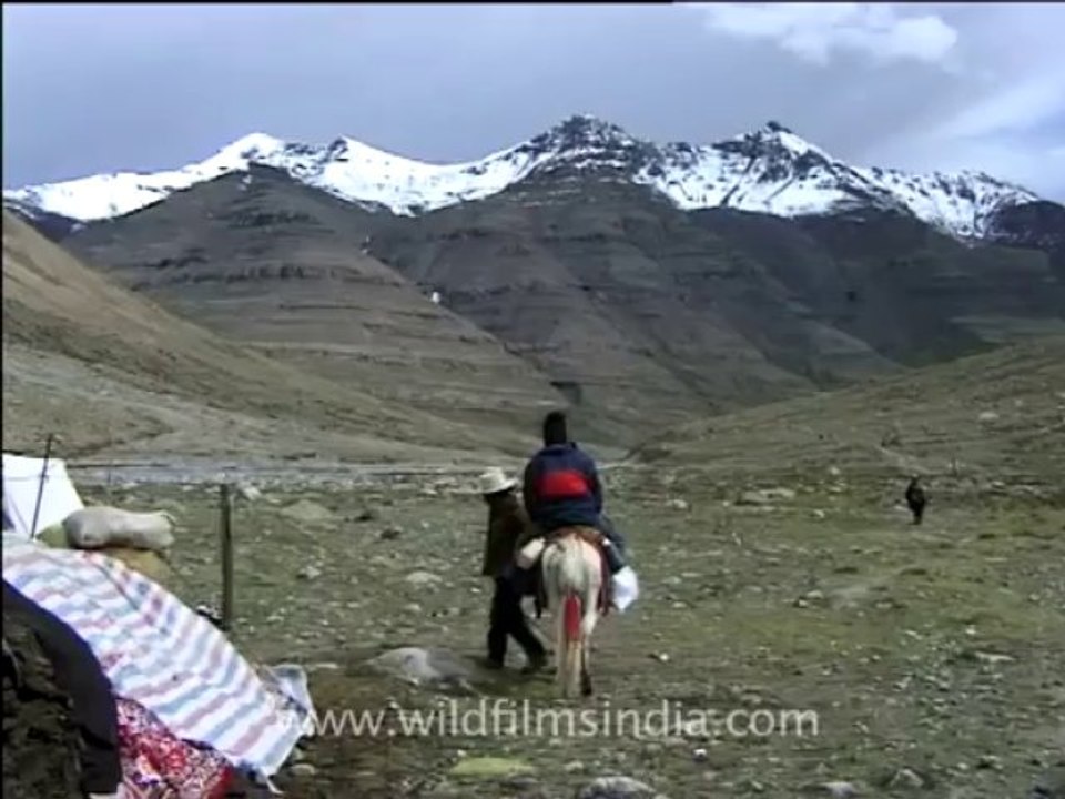 Tibet-mansarovar-11