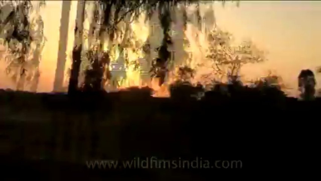Train-journey-4