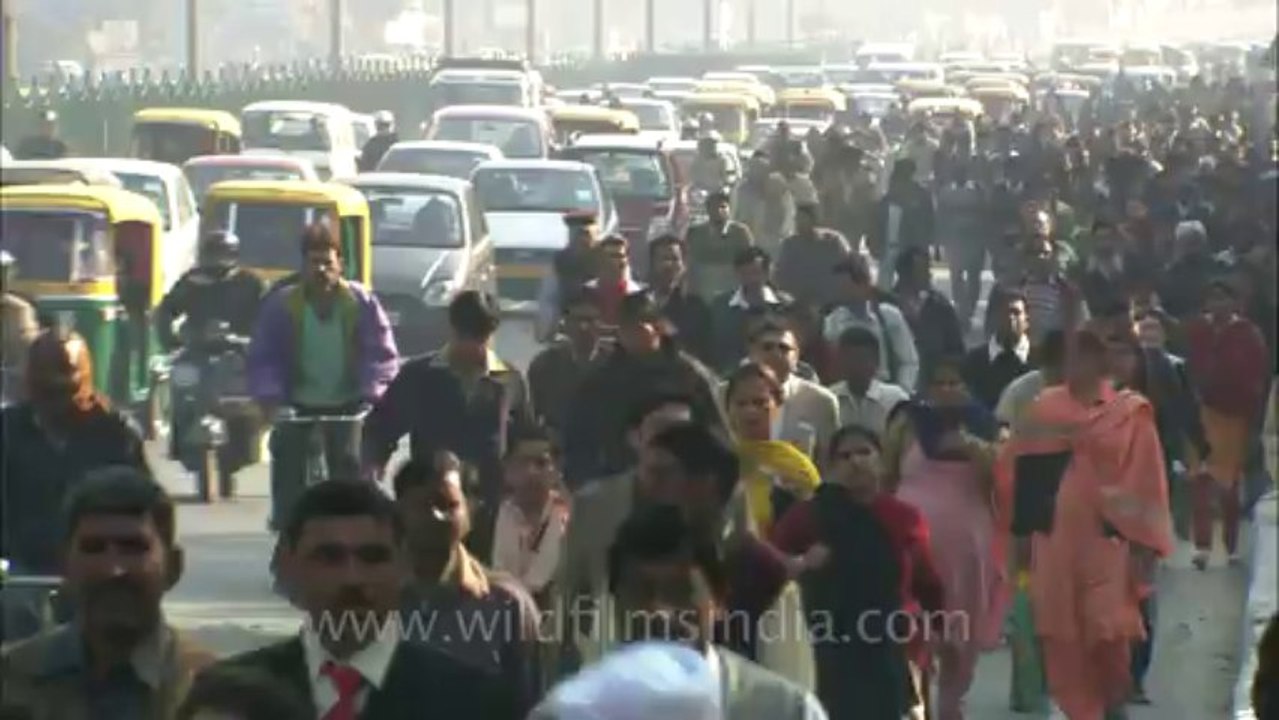 Delhi-hdc-55-1-24
