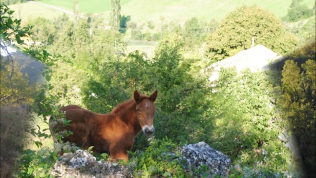 Montage week-end 4x4 à Risou