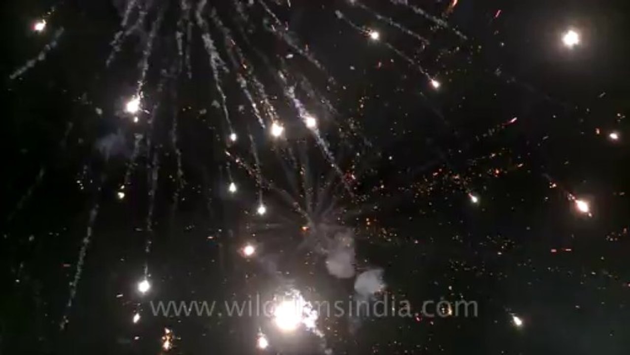 Dussehra-2011-21