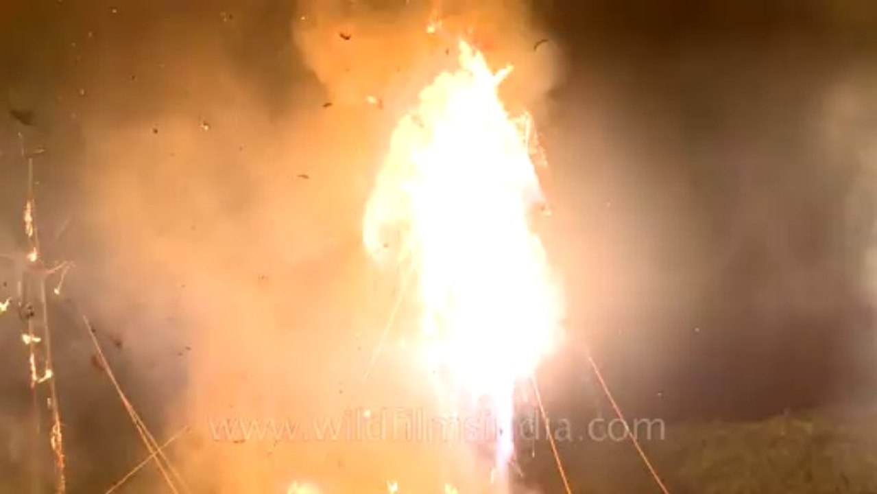 Dussehra-2011-24