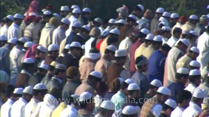 Eid-jama sasjid-hdc-no name-2