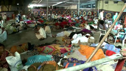 Fish remedy-hyderabad-9
