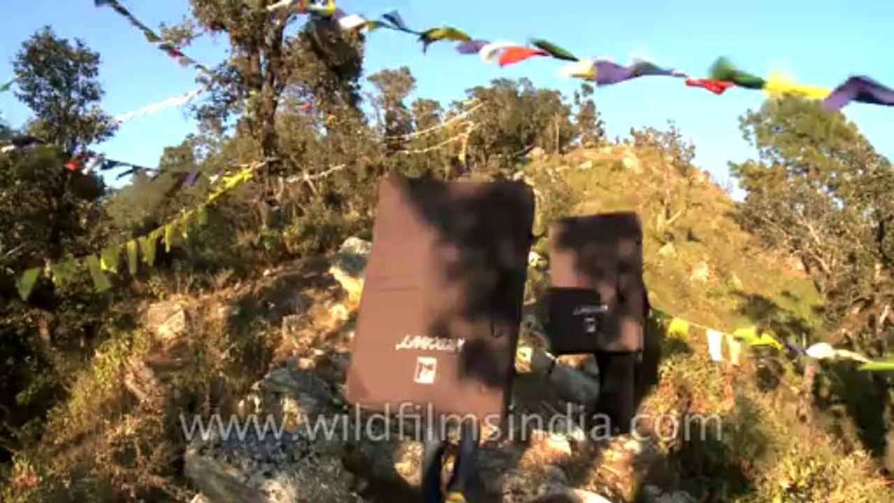 Flag-Hill-7