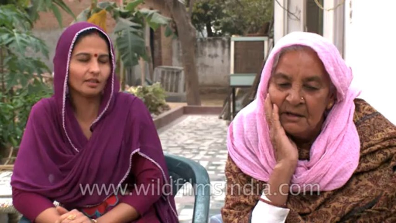 Govardhan-puja-12