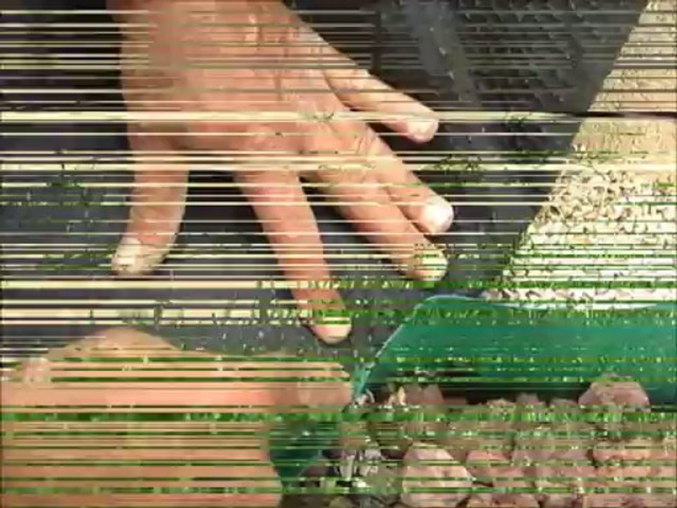 איך חותכים דשא מלאכותי באופן מקצועי - דשא קבוע