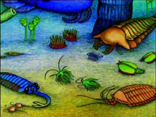 Təkamül nəzəriyyəsinin süqutu 4/6