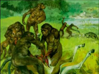 Təkamül nəzəriyyəsinin süqutu 5/6