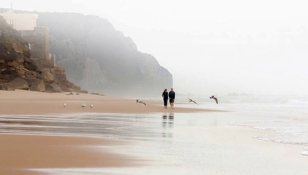 Melihat Gülses - - Bir fırtına tuttu a yarim bizi deryaya kardı